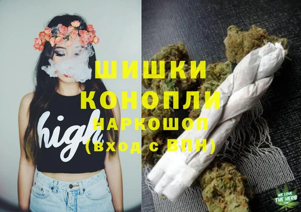 таблы Бородино