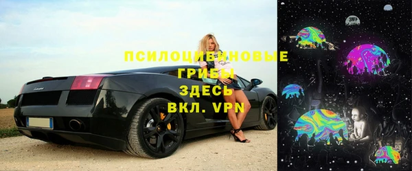 таблы Бородино
