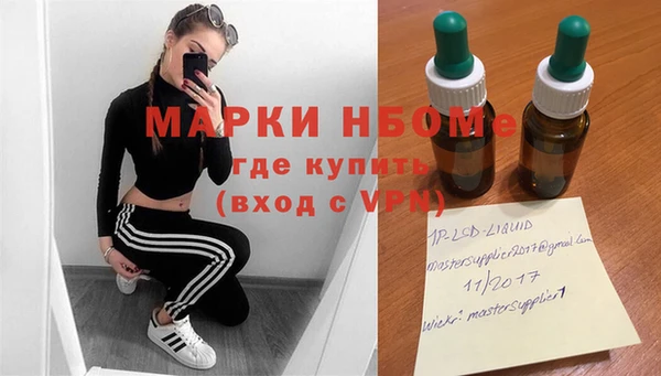 таблы Бородино