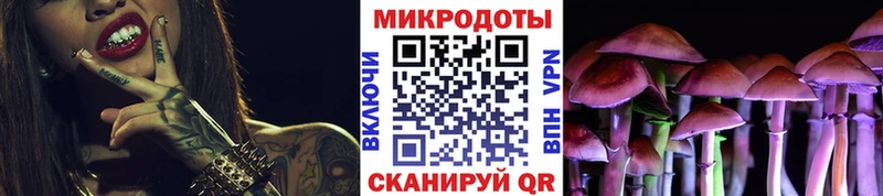Галлюциногенные грибы Psilocybine cubensis  Буйнакск 